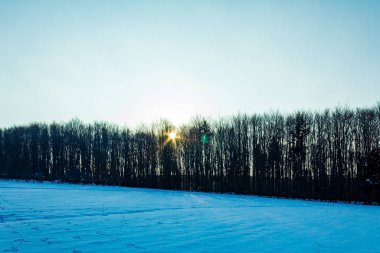 Karlı kış manzarası - ağaçlarla kaplı