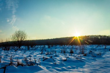 Kış manzarası, karlı orman, ağaçlar, kar - beyaz bulutlar, mavi gökyüzü, kış ormanı.