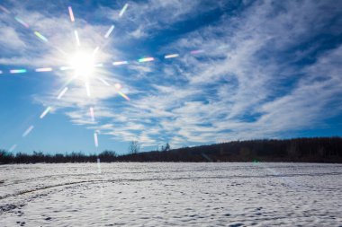 Karla kaplı ağaçlarla kaplı kış manzarası
