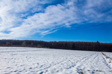 Kar ve ağaçlarla kaplı kış manzarası