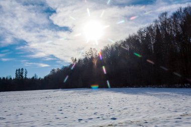 Kar, kışı ağaçlarla ve mavi gökyüzüyle kapladı.