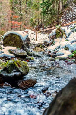 Ormanın içinde dağ dere