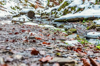 Kardaki dağ şelalesi