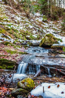 Karpat dağlarında güzel bir şelale
