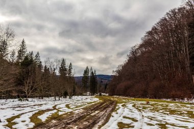 Karla kaplı ağaçlarla kaplı güzel kış manzarası