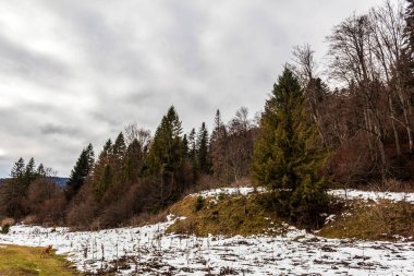 Önünde orman olan küçük bir dağ manzarası.