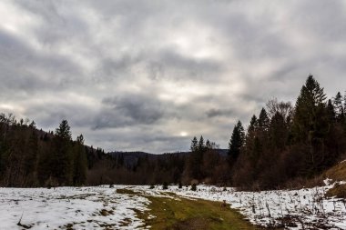 Dağlarda bir ağacı olan güzel bir manzara.