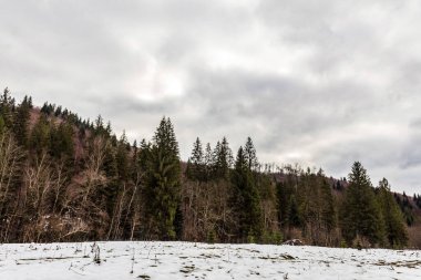 karla kaplı ağaçlar ve dağlar.