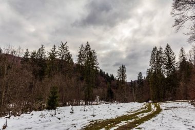 Kışın ağaçlar karla kaplanır.