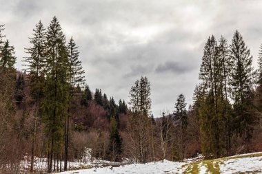 Kar dağ orman kaplı