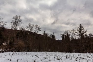 Güzel kış dağ manzarası