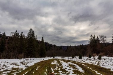 Ağaçlar ve dağlarla kaplı kış manzarası