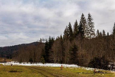 Dağlardaki bir dağ sırasının güzel manzarası.