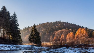 Ağaçlar ve dağlarla dolu güzel sonbahar manzarası