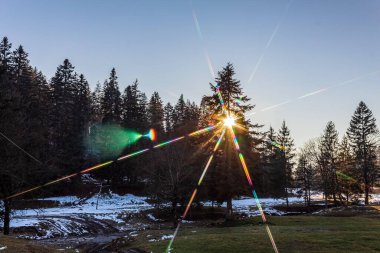 Arkasında bir dağ ve orman olan güzel bir manzara.