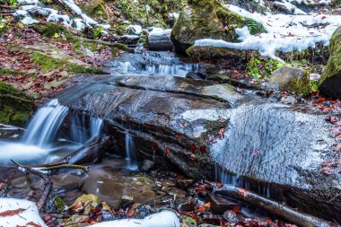 Ormanda güzel bir şelale