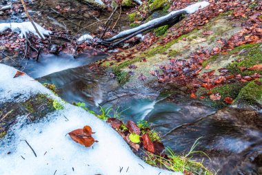 şelale kış orman.