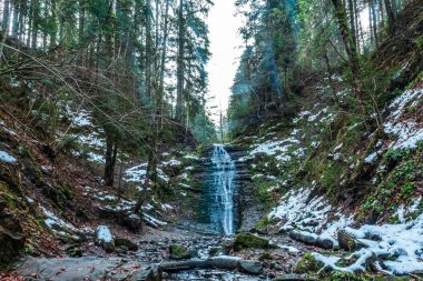 Kış ormanındaki şelale