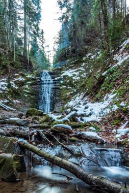 Ormanda güzel bir şelale
