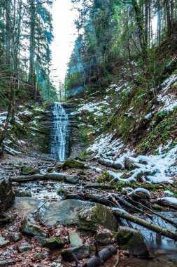 Ormanda güzel bir şelale