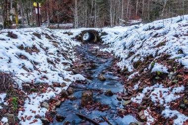 Ormanda güzel bir şelale