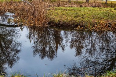 Sudaki göldeki yansıma.
