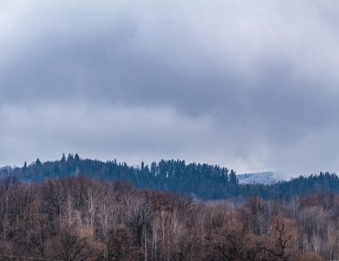 Kış manzarası, ağaçlar, kar, dağlarda kar