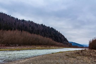 Ormandaki güzel bir nehir manzarası.