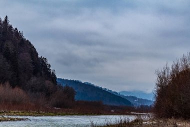 Nehir ve ormanlı güzel bir manzara.