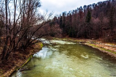 Kışın ormanda ağaçlarla dolu bir nehir..