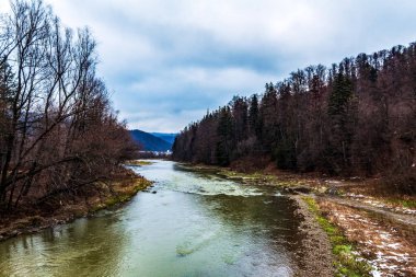 Sonbaharda ormandaki nehir dağ