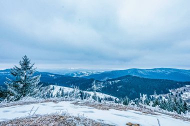 Karlı dağların güzel manzarası