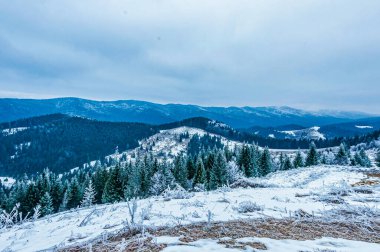 Karpatların kış manzarası