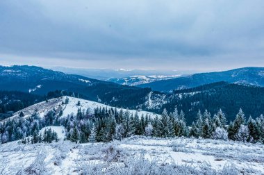 Ağaçlar dağlarda güzel kış manzarası kar ile kaplı