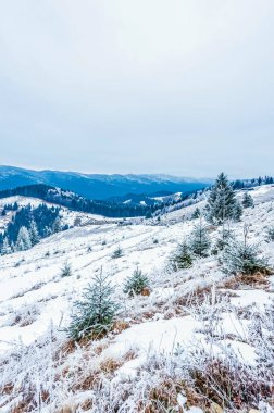 Kışın karla kaplı güzel bir manzara