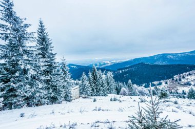Dağlarda kış manzarası