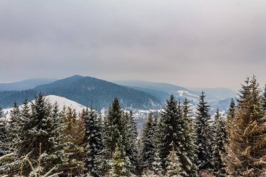 Dağların güzel manzarası.