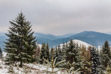 Karlı dağlarla güzel kış manzarası.