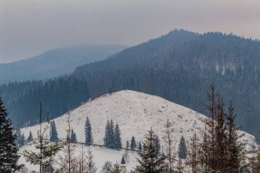 Karpatya dağlarında güzel bir kış manzarası, Ukrayna