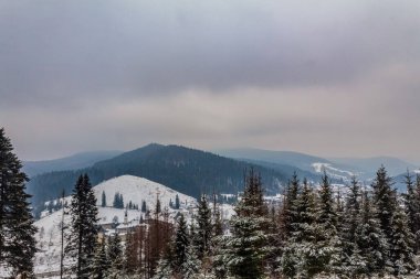 Kış manzarası karla kaplı ağaçlar. güzel dağ manzarası.