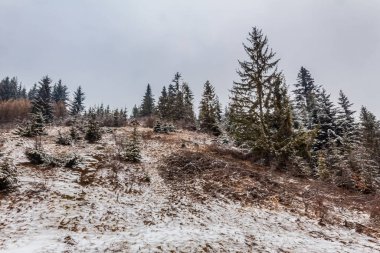 Kış manzarası karla kaplı ağaçlar, orman ve dağlar.