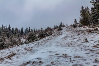 Dağlardaki güzel kış manzarası. Karpat Dağları. ukraine