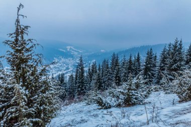 Karla kaplı kış manzarası. Dağlarla kaplı. Karpat Dağları, Ukrayna.
