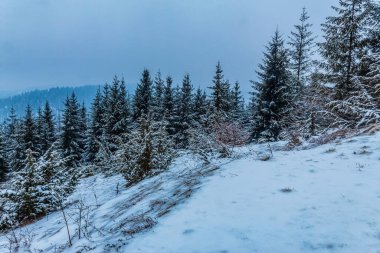 Karpatya dağlarında kış