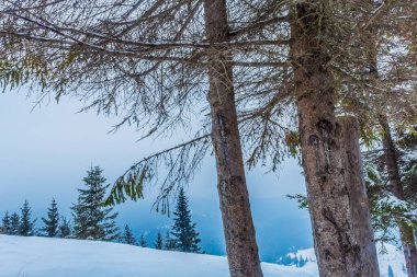 Dağlarda kış manzarası