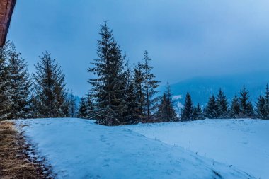 Ukrayna 'daki Karpatların kış manzarası.