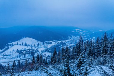 Orman, Karpatlar, Doğa Fotoğrafları - Avrupa, Doğu Avrupa, Romanya 
