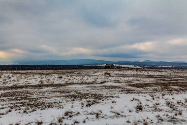 Karpatlar kış manzarası