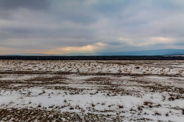 Mavi bulutlu gökyüzünün altında beyaz ve kahverengi çimenli güzel bir arazi manzarası.
