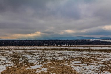 Czech cumhuriyetindeki bir ormanın güzel bir kış manzarası.